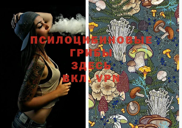первитин Вяземский