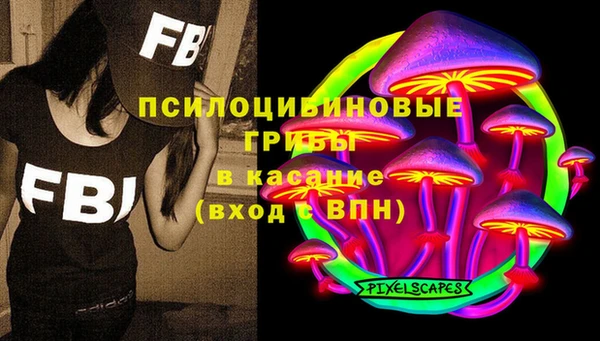 2c-b Горно-Алтайск
